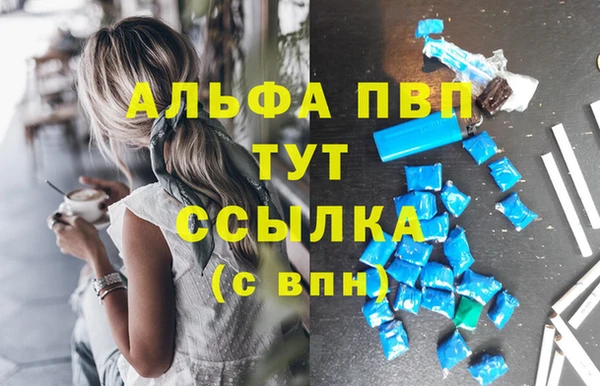 кокс Касимов