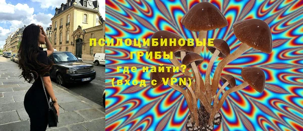 прущая мука Карпинск