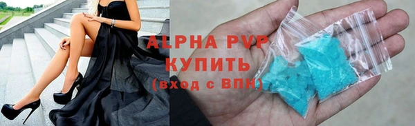 кокс Касимов