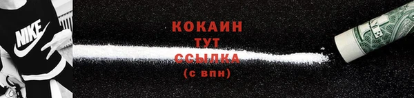кокс Касимов
