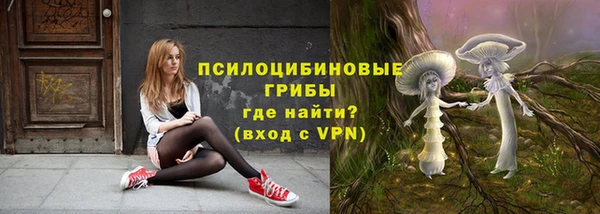 кокс Касимов