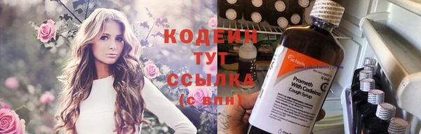кокс Касимов