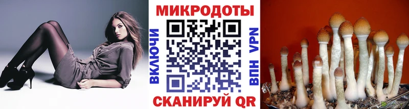 Галлюциногенные грибы мухоморы  наркота  Шумиха 